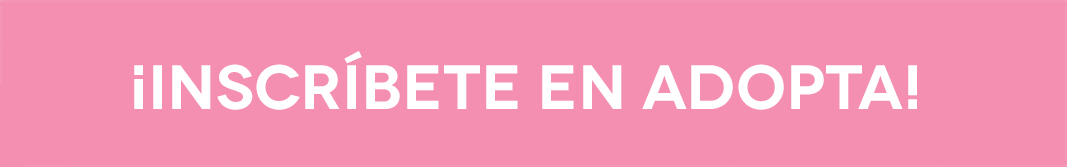 BOUTON (1)