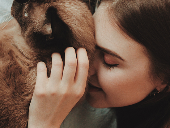 Por qué las mascotas avivan el amor en pareja
